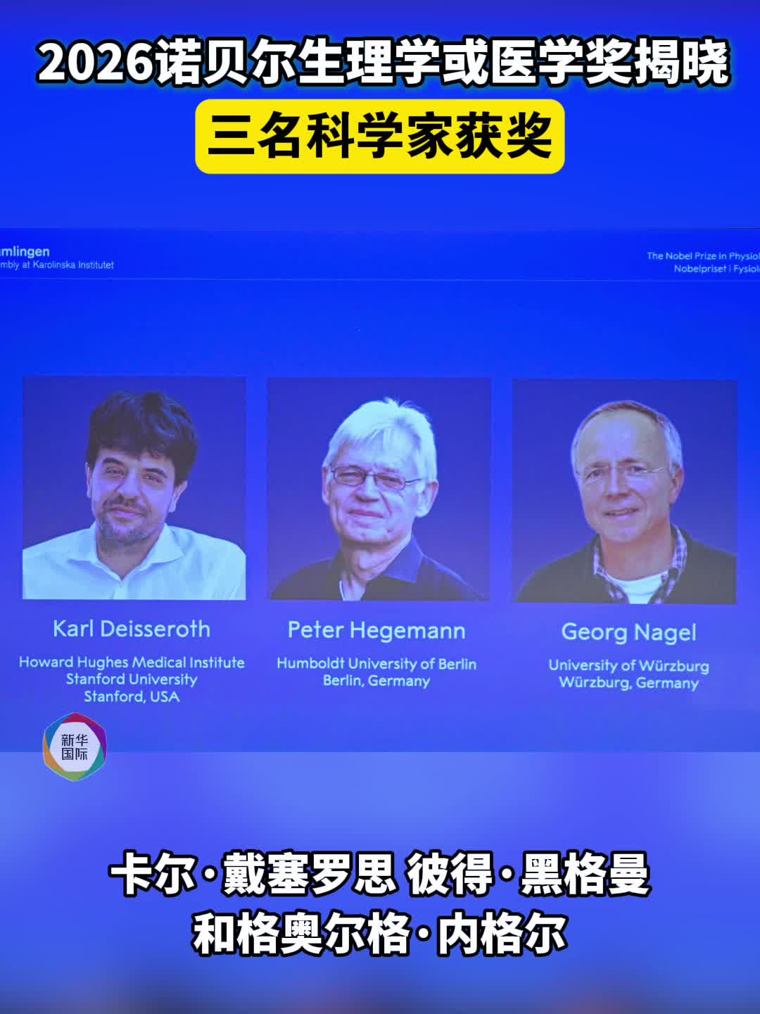 2026诺贝尔医学奖给自闭症家庭的启示：科学正在加速，但今天的互动不能等